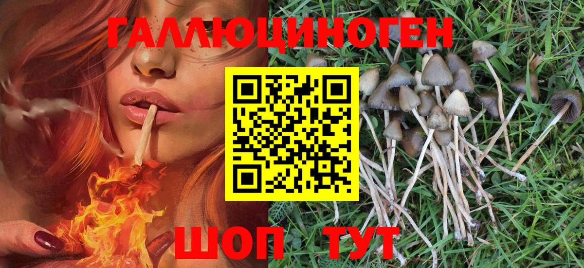 Коломна  дарнет шоп  Вход с VPN  Псилоцибиновые грибы Magic Shrooms  Псилоцибиновые грибы Psilocybine cubensis 