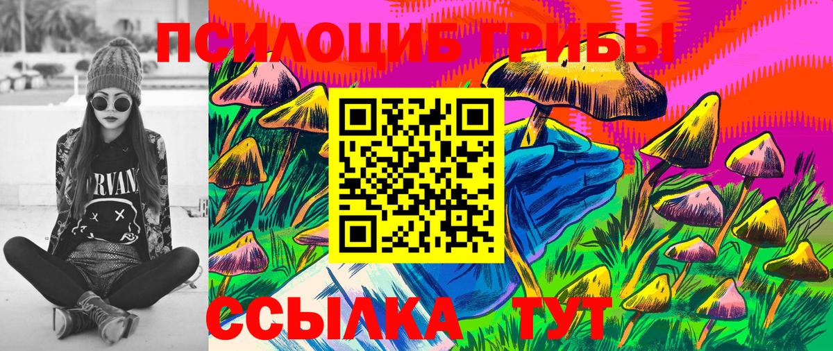 Псилоцибиновые грибы Magic Shrooms Коломна